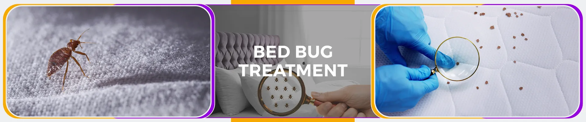 carpet cleaning in manhattan, carpet cleaning manhattan, carpet cleaners in manhattan, carpet cleaners in manhattan, commercial carpet cleaning, commercial carpet cleaning in manhattan, manhattan rug cleaners, rug cleaning services in manhattan, same day carpet cleaning, same day rug cleaning in manhattan