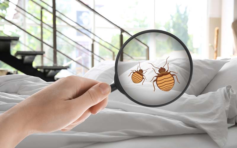 carpet cleaning in manhattan, carpet cleaning manhattan, carpet cleaners in manhattan, carpet cleaners in manhattan, commercial carpet cleaning, commercial carpet cleaning in manhattan, manhattan rug cleaners, rug cleaning services in manhattan, same day carpet cleaning, same day rug cleaning in manhattan